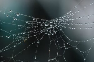 Java Web spider